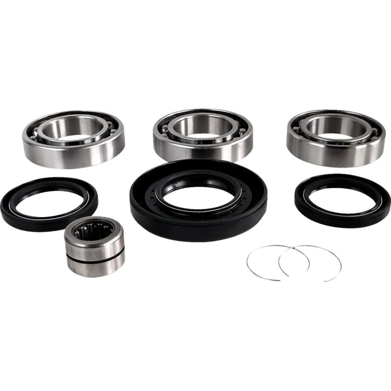 Differential Bearing Seal Kit