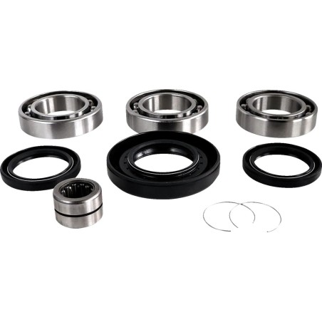 Differential Bearing Seal Kit
