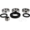 Differential Bearing Seal Kit