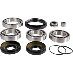 Differential Bearing Seal Kit
