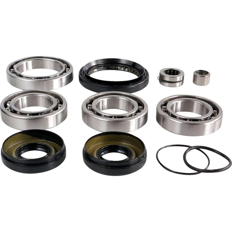Differential Bearing Seal Kit