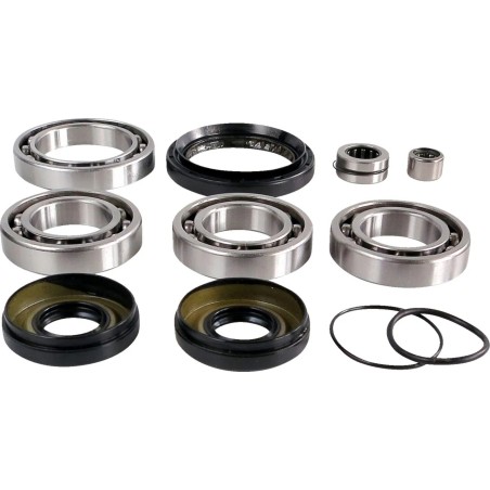 Differential Bearing Seal Kit