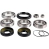 Differential Bearing Seal Kit