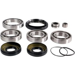 Differential Bearing Seal Kit