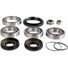 Differential Bearing Seal Kit