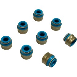 Viton  Valve Guide Seals