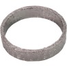 Exhaust Gaskets