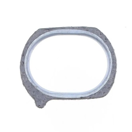 Exhaust Gasket