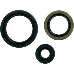 Motor Oil Seals