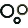 Motor Oil Seals