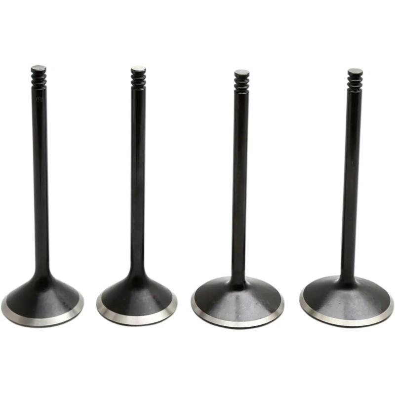 Black Diamond  Engine Valve Kit