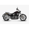 Overlapped Slip-Ons Muffler for HD-SOFTAIL M8
