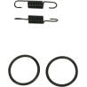 Pipe Spring O-Ring Kit