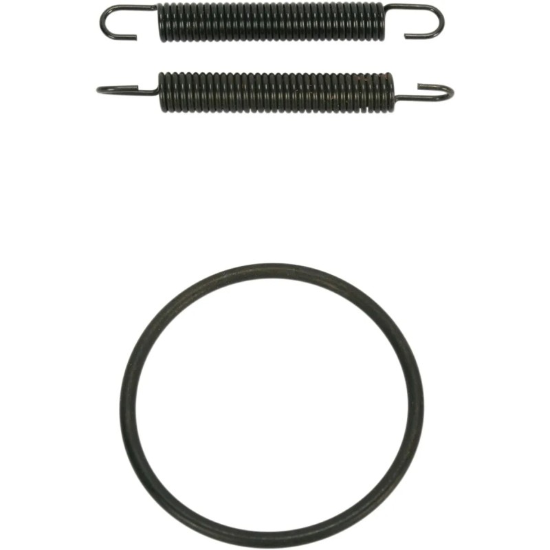 Pipe Spring O-Ring Kit