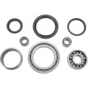 Bearing Seal Kit