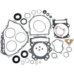 Complete Gasket and Oil Seal Kit