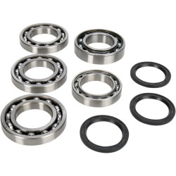 Bearing Seal Kit