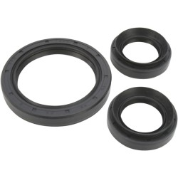 Differential Seal Kit