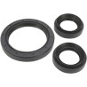 Differential Seal Kit