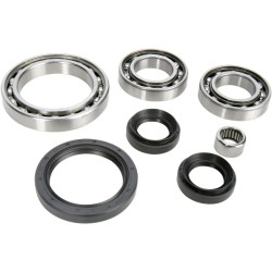 Bearing Seal Kit
