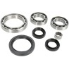 Bearing Seal Kit