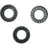 Differential Seal Kit