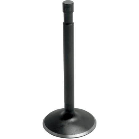 Black Diamond  Engine Valve