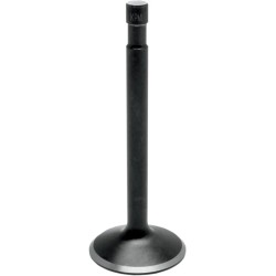 Black Diamond  Engine Valve