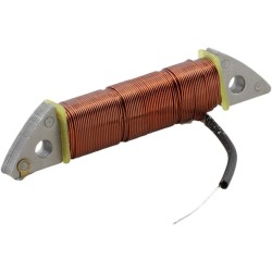 Bobine d'Allumage Interne