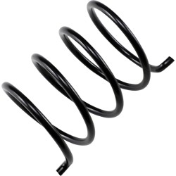 Secondary Clutch Spring