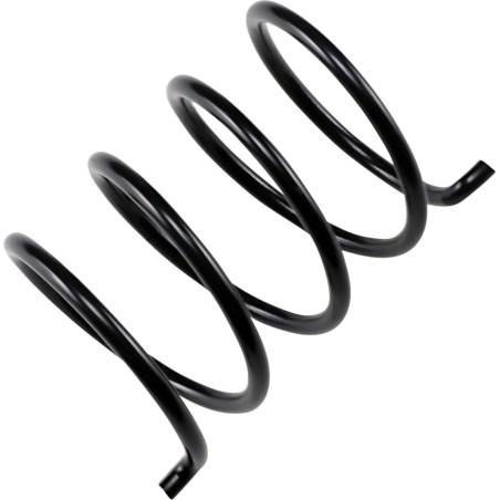 Secondary Clutch Spring