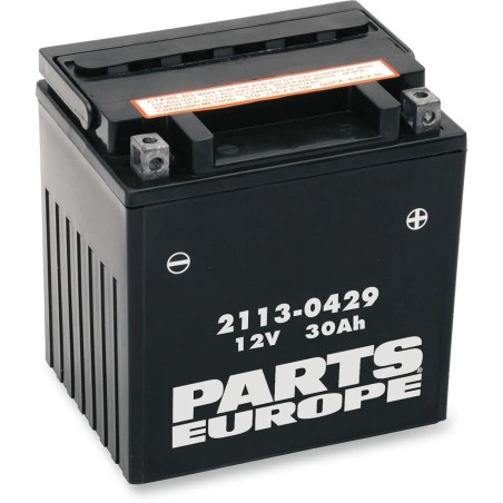 Parts Europe Battery