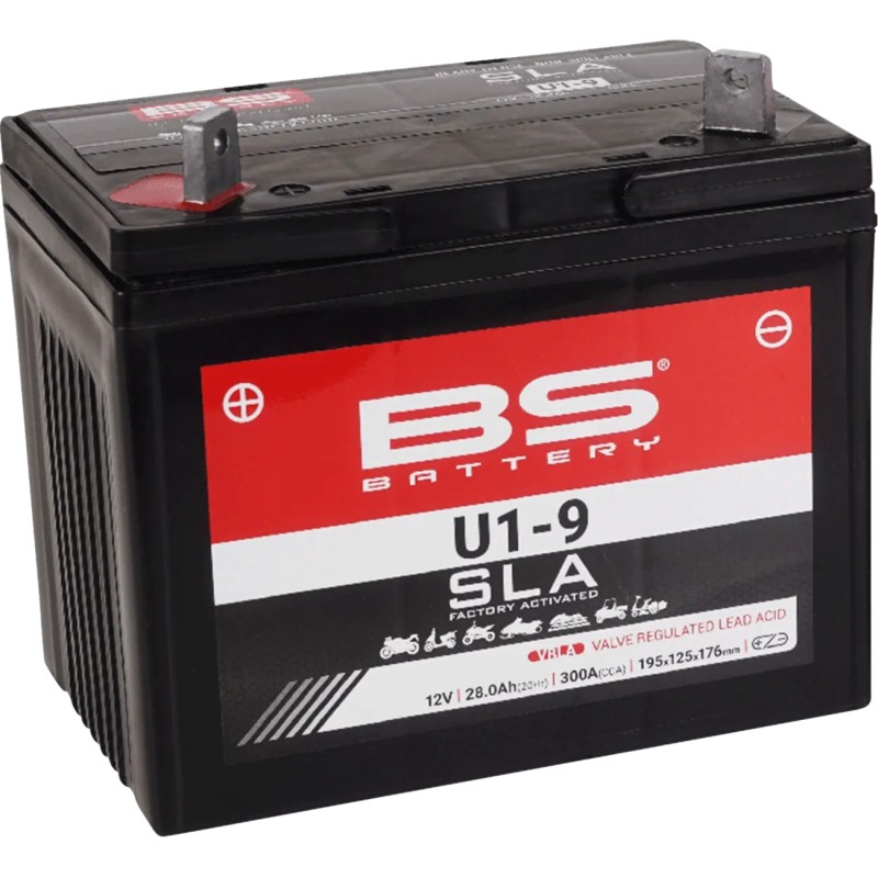 SLA Factory- Activated AGM Maintenance-Free Battery