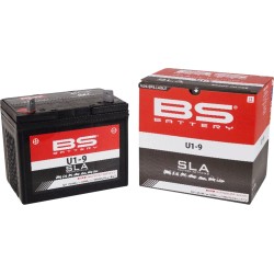 SLA Factory- Activated AGM Maintenance-Free Battery