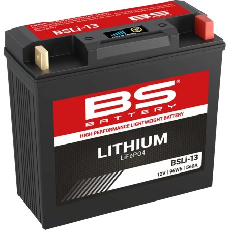 Lithium LiFePO4 Battery