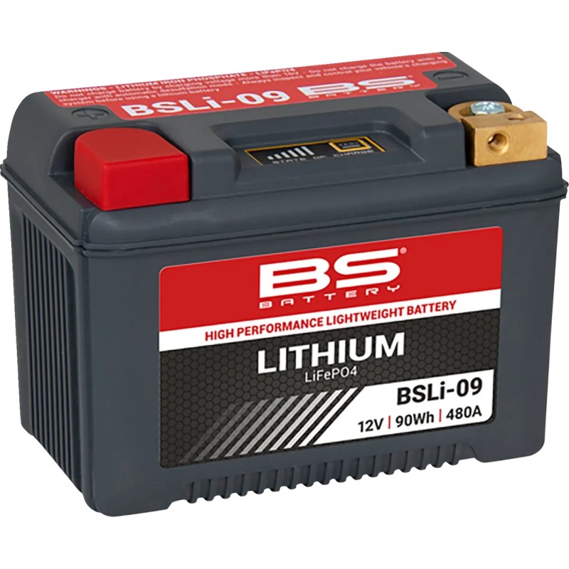 Batterie Lithium LiFePO4