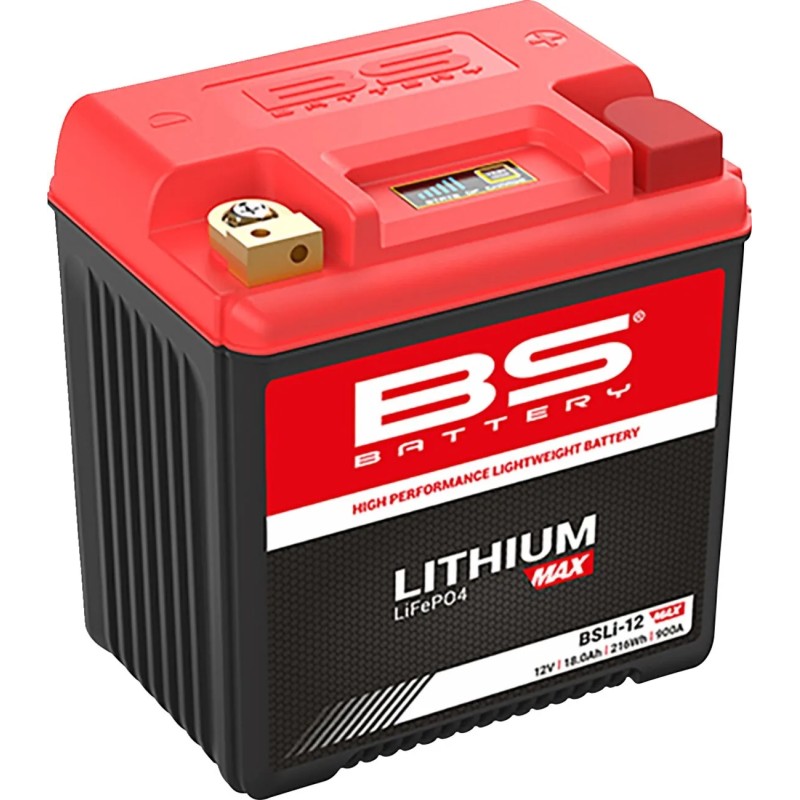 Lithium Max LiFePO4 Battery