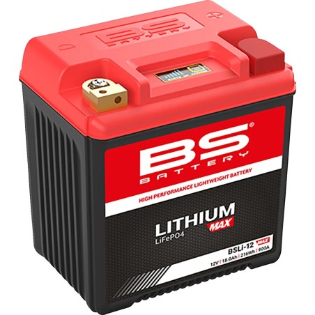 Batterie Max LiFePO4 au lithium
