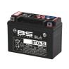 SLA Factory-Activated AGM Maintenance-Free Batteries