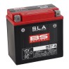 SLA Factory-Activated AGM Maintenance-Free Batteries