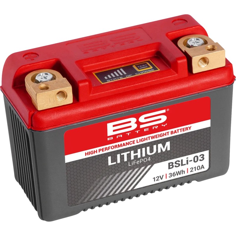 Lithium LiFePO4 Battery