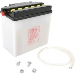 Conventional Battery