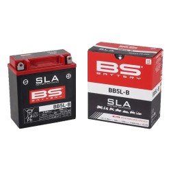 SLA Factory-Activated AGM Maintenance-Free Batteries