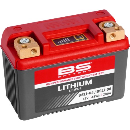 Lithium LiFePO4 Battery