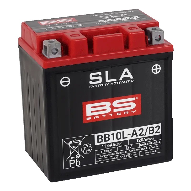 SLA Factory-Activated AGM Maintenance-Free Batteries