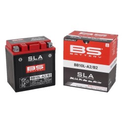 SLA Factory-Activated AGM Maintenance-Free Batteries