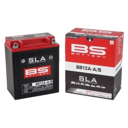 SLA Factory-Activated AGM Maintenance-Free Batteries