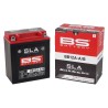 SLA Factory-Activated AGM Maintenance-Free Batteries