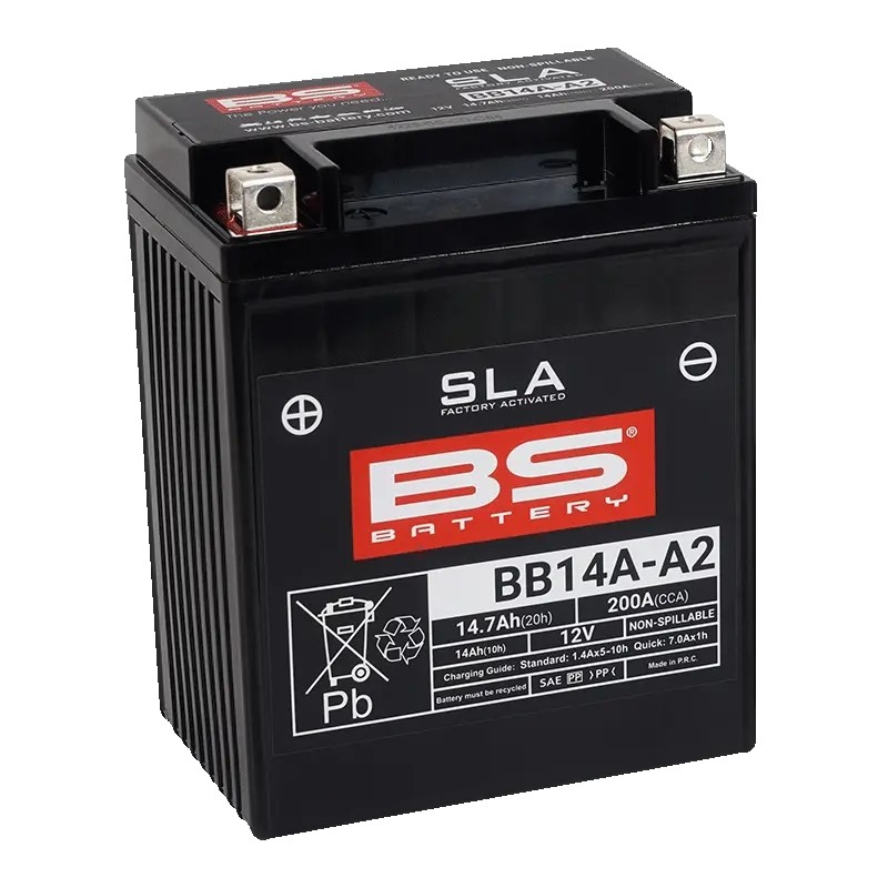 SLA Factory-Activated AGM Maintenance-Free Batteries