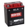 SLA Factory-Activated AGM Maintenance-Free Batteries
